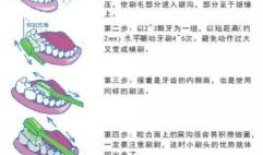 巴氏刷牙法视频,高效口腔护理技巧全解析